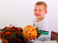 IMG 055