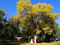 FotoesVideo.hu  www.videoesfoto.hu, www.fotoesvideo.hu, www.celestine.hu, www.elsofenykepem.hu, www.menyasszonyiszalon.hu : Fotó, Videó, Rendezvény Fotó, rendezvény videó, elsőfényképem