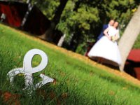 FotoesVideo.hu  www.videoesfoto.hu, www.fotoesvideo.hu, www.celestine.hu, www.elsofenykepem.hu, www.menyasszonyiszalon.hu : Fotó, Videó, Rendezvény Fotó, rendezvény videó, elsőfényképem