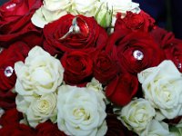 FotoesVideo.hu  www.videoesfoto.hu, www.fotoesvideo.hu, www.celestine.hu, www.elsofenykepem.hu, www.menyasszonyiszalon.hu : Fotó, Videó, Rendezvény Fotó, rendezvény videó, elsőfényképem